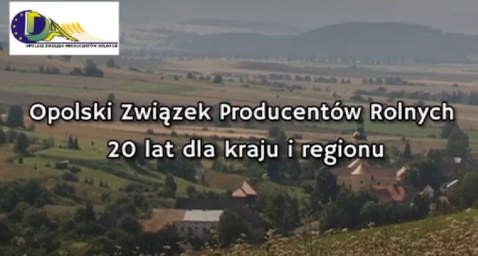 20 lat zwiazku
